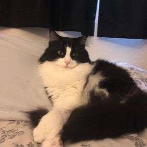 Meet your Posher, Alicia